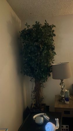 Large Artificial Ficus Tree