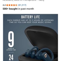 Beats Power Beat Pro Earbuds