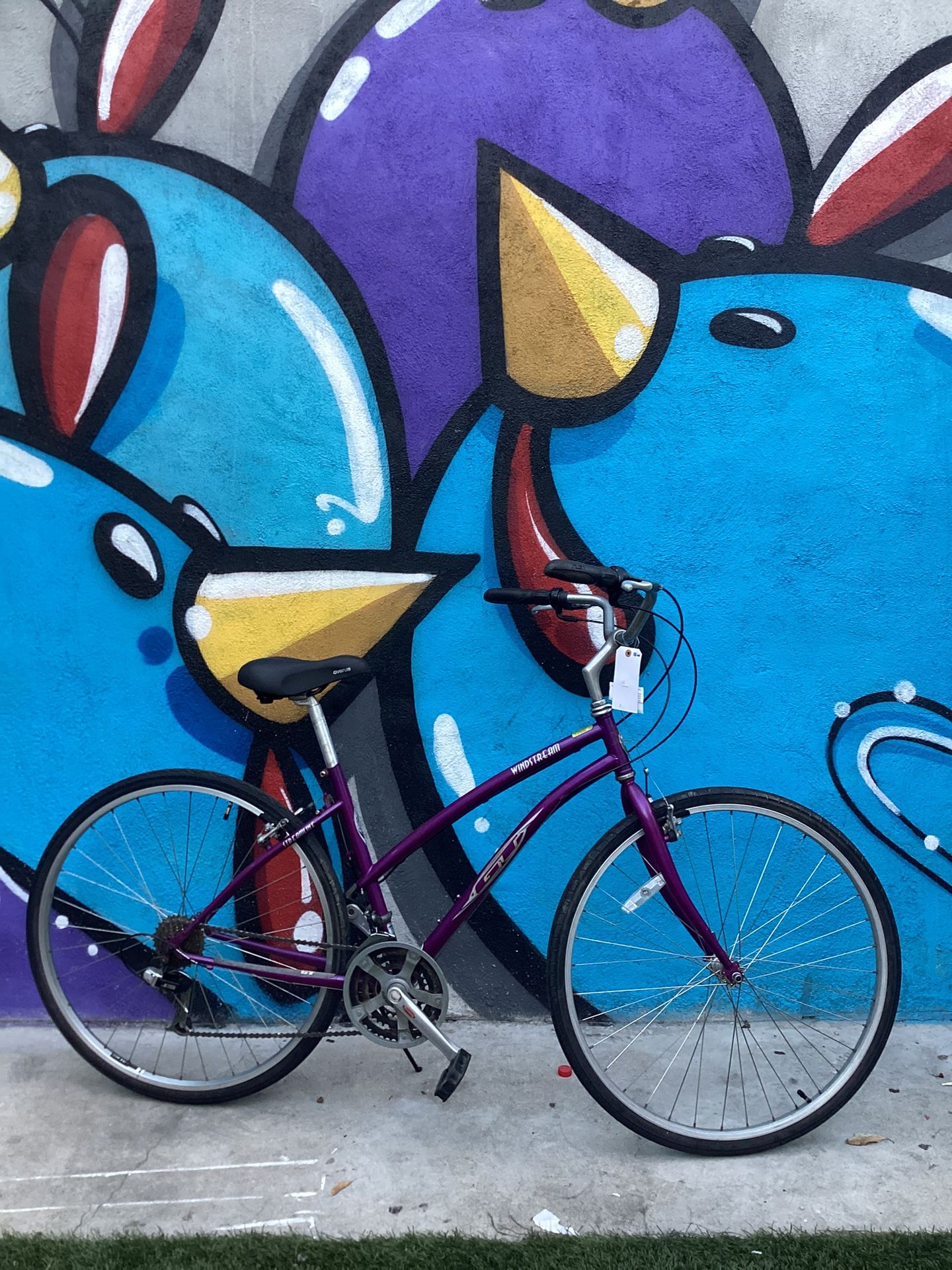 Used GT WindStrem