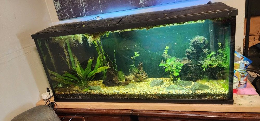50 Gallon Fish Tank With 2 Hood Covers With Led Marineland Cannister Filter