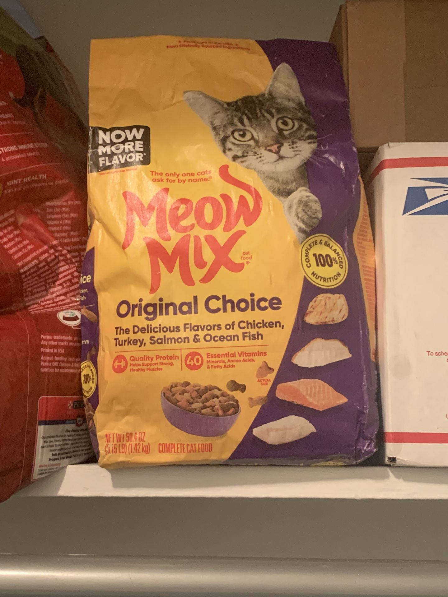 Cat food & litter