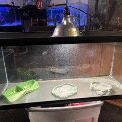 30 gallon reptile tank and accessories