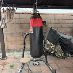 Punching Bag 100lb 
