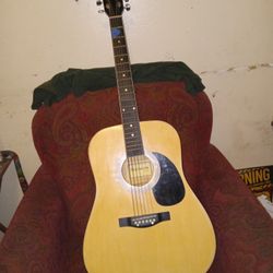 Acustic Guitar 