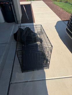 Dog kennel