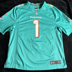 Miami Dolphins
