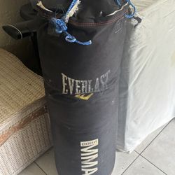 100 Lb Everlast  PUNCHING BAG / Boxing 