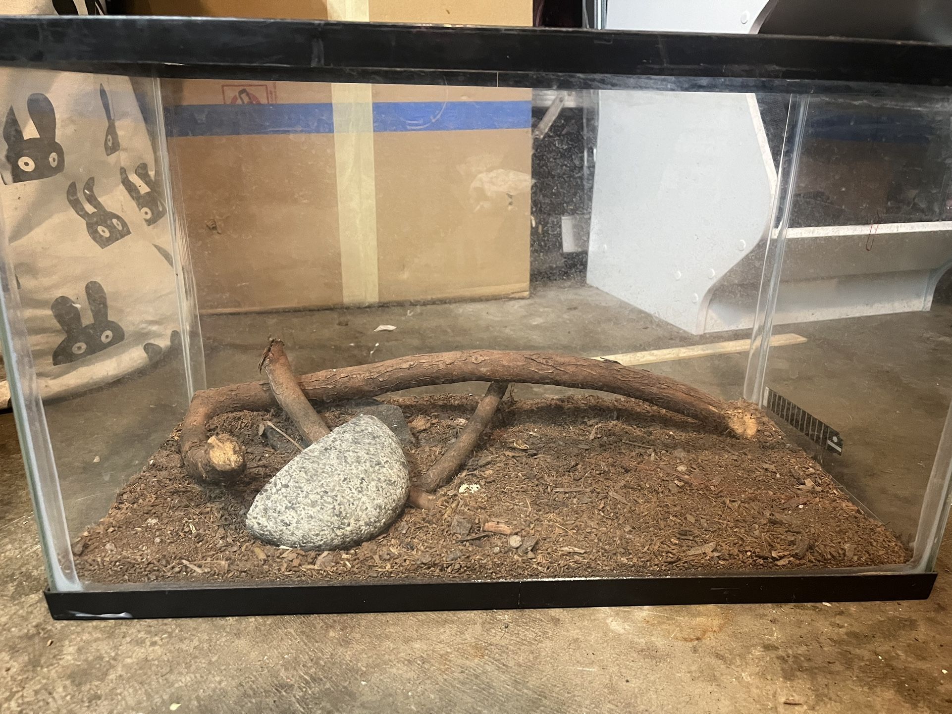 Fish Tank