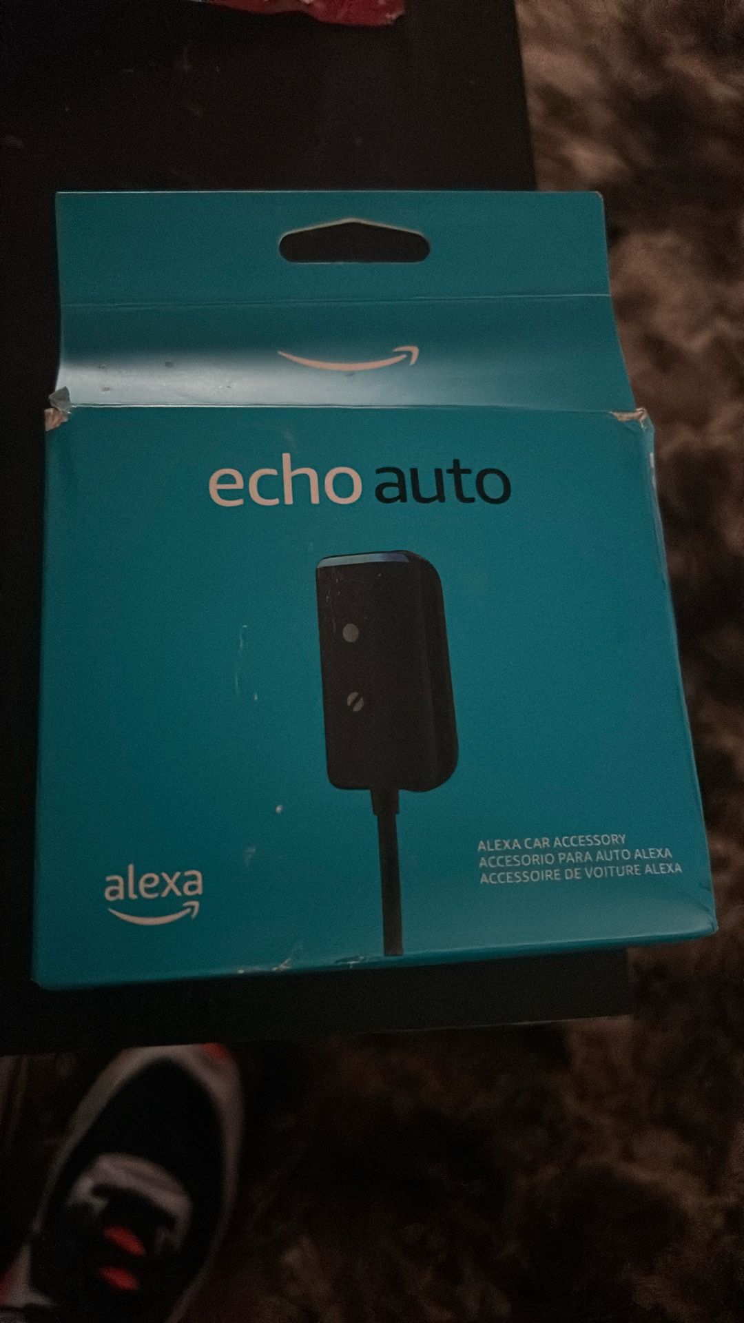 Alexa Echo Car