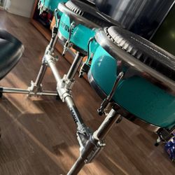 Professional conga for sale.