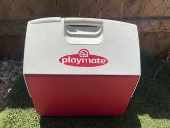Igloo Playmate Cooler