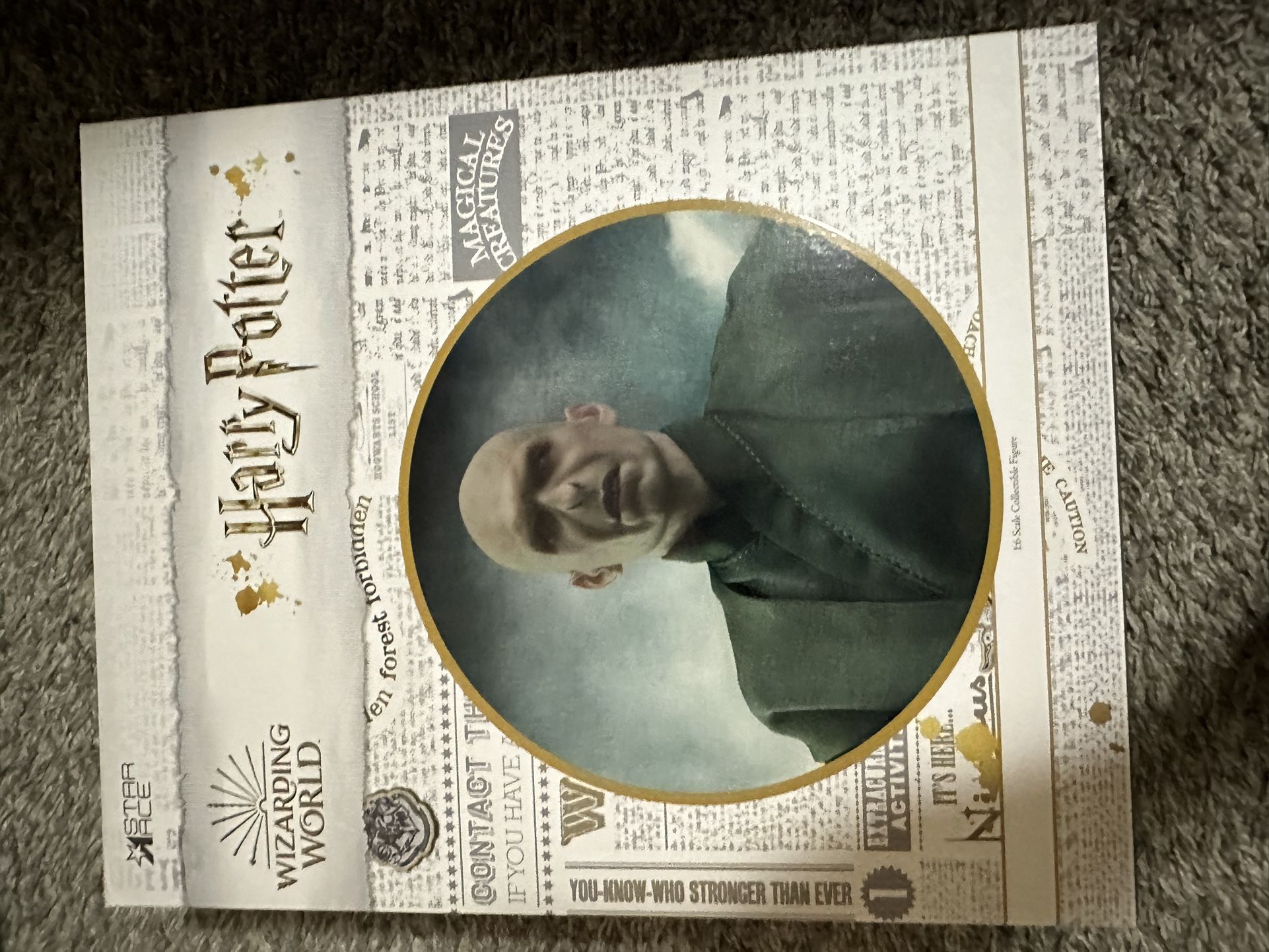 Voldemort 1/6 Figure