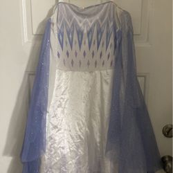 Frozen Costume