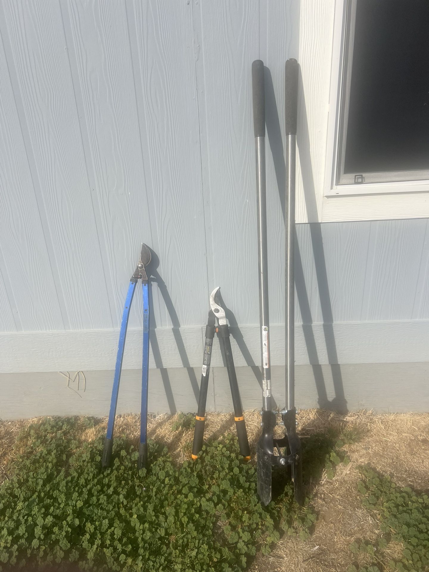 Have a pool digger and two sets of loppers