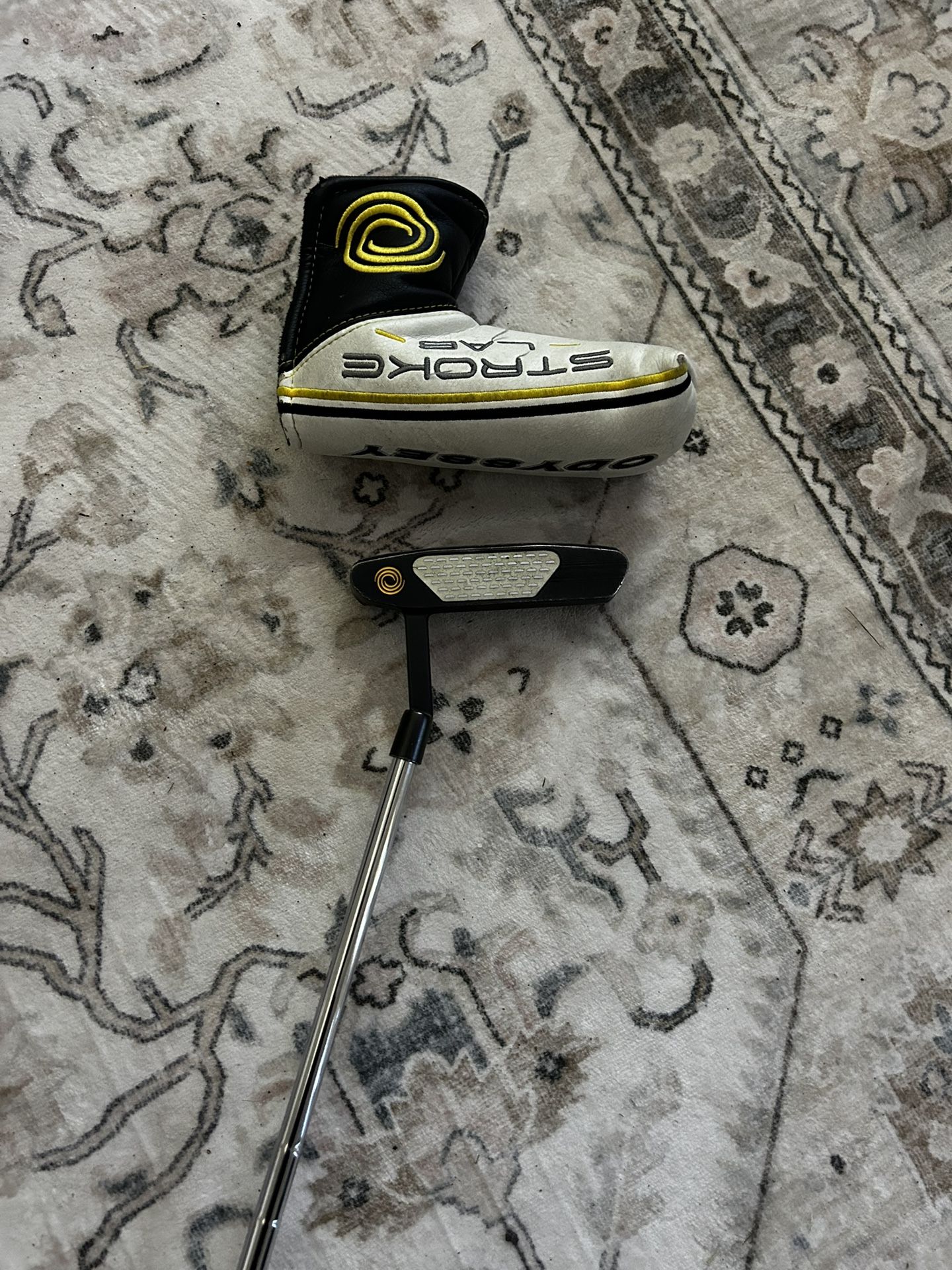 Odyssey Stroke Lab 34