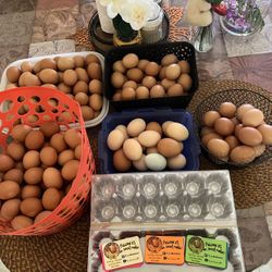 Fresh Eggs Madera,ca