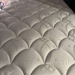 Queen Serta Perfect Sleeper