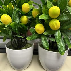 Lemon Classroom Decor Bundle 