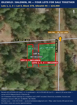 4 Vacant Lots — Historic Idlewild MI, Near Paradise Lake