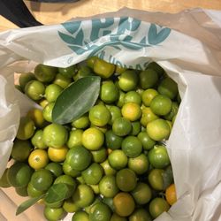 Calamansi
