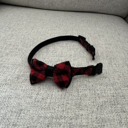 Small Dog/Cat Collar