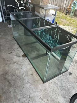 Fish Tank 