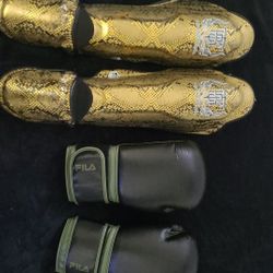 Boxing gloves and shin guards 