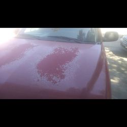 Light Body And Refinish Paint