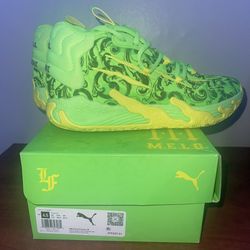Basket Ball Sneakers