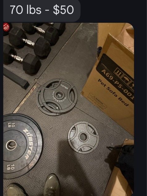 Bumper Plates