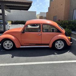 1969 Vw Beatle 