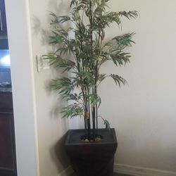 Fake Bamboo Plant
