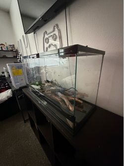 Snake tank
