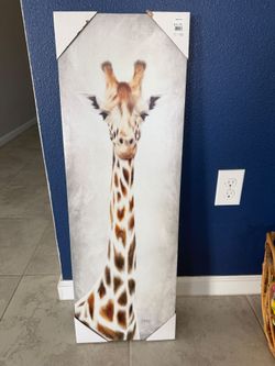 Canvas frame