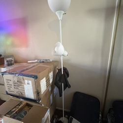 Light 