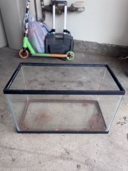 10 Gal Tank