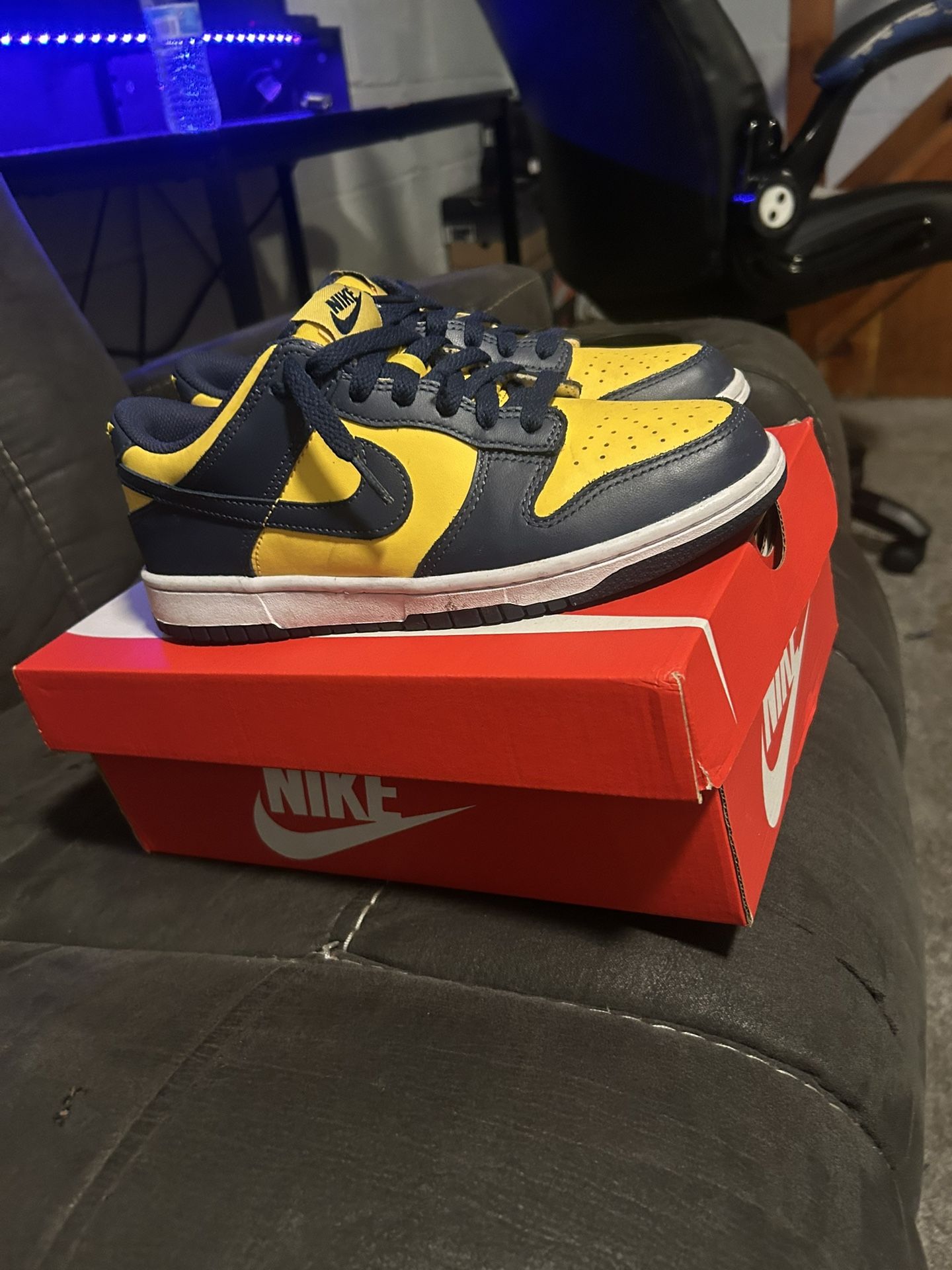 Nike dunks