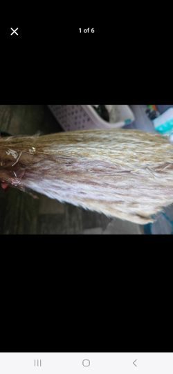 Pampas Grass Decor 