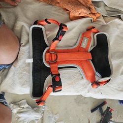 Dog Harness