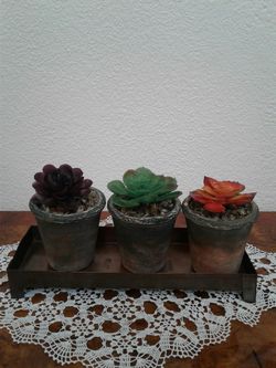 Artificial succulents in 3 small ceramic pots with metal tray. $15 OR BEST OFFER