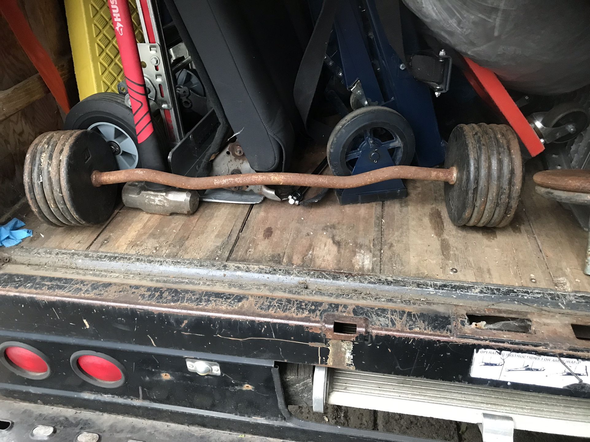 Olympic Curl Bars
