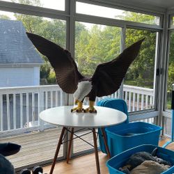 Eagle Soft Toy from Discovery Place