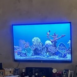 SHARP 70 Inch 3D  TV. 