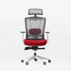 Autonomous ErgoChair Pro Ergonomics Office Chair