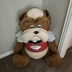 Texas Hold ‘Em Bear