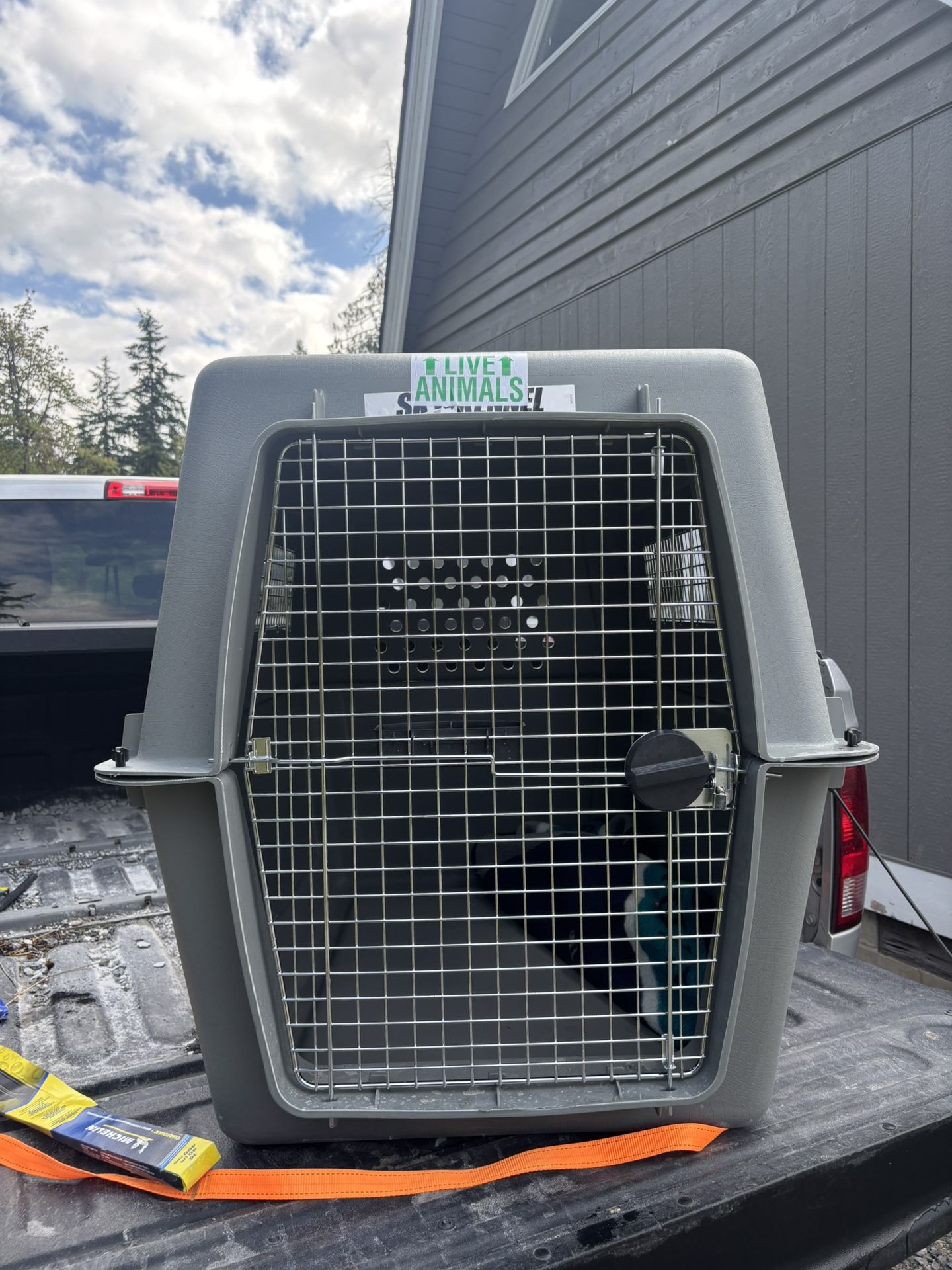 Sky Kennel Pet Carrier