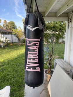 EVERLAST PUNCH BAG