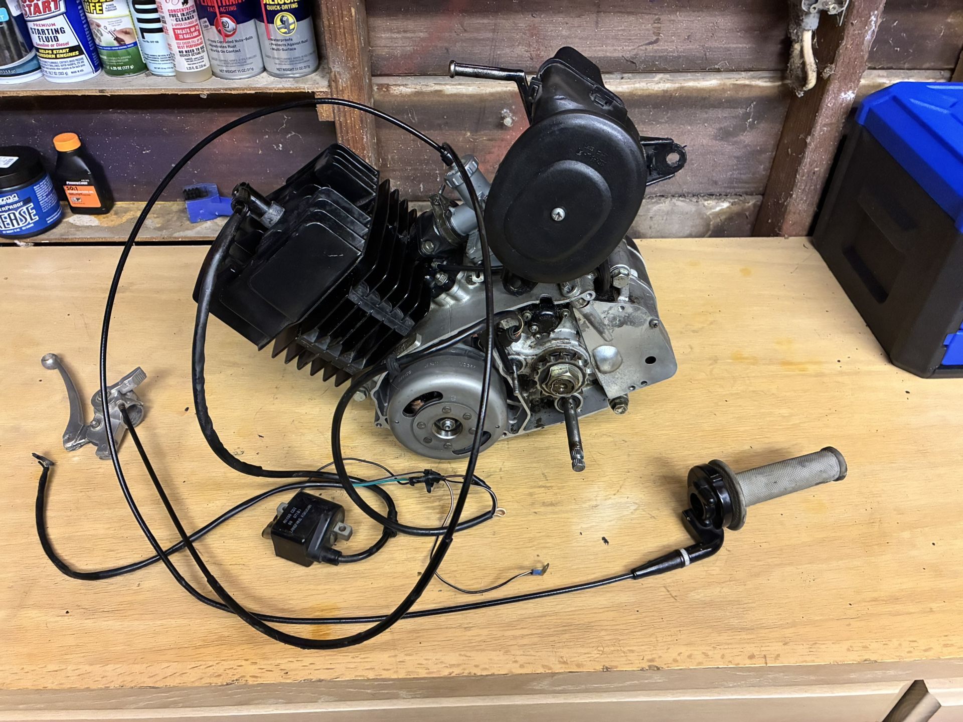 suzuki 100