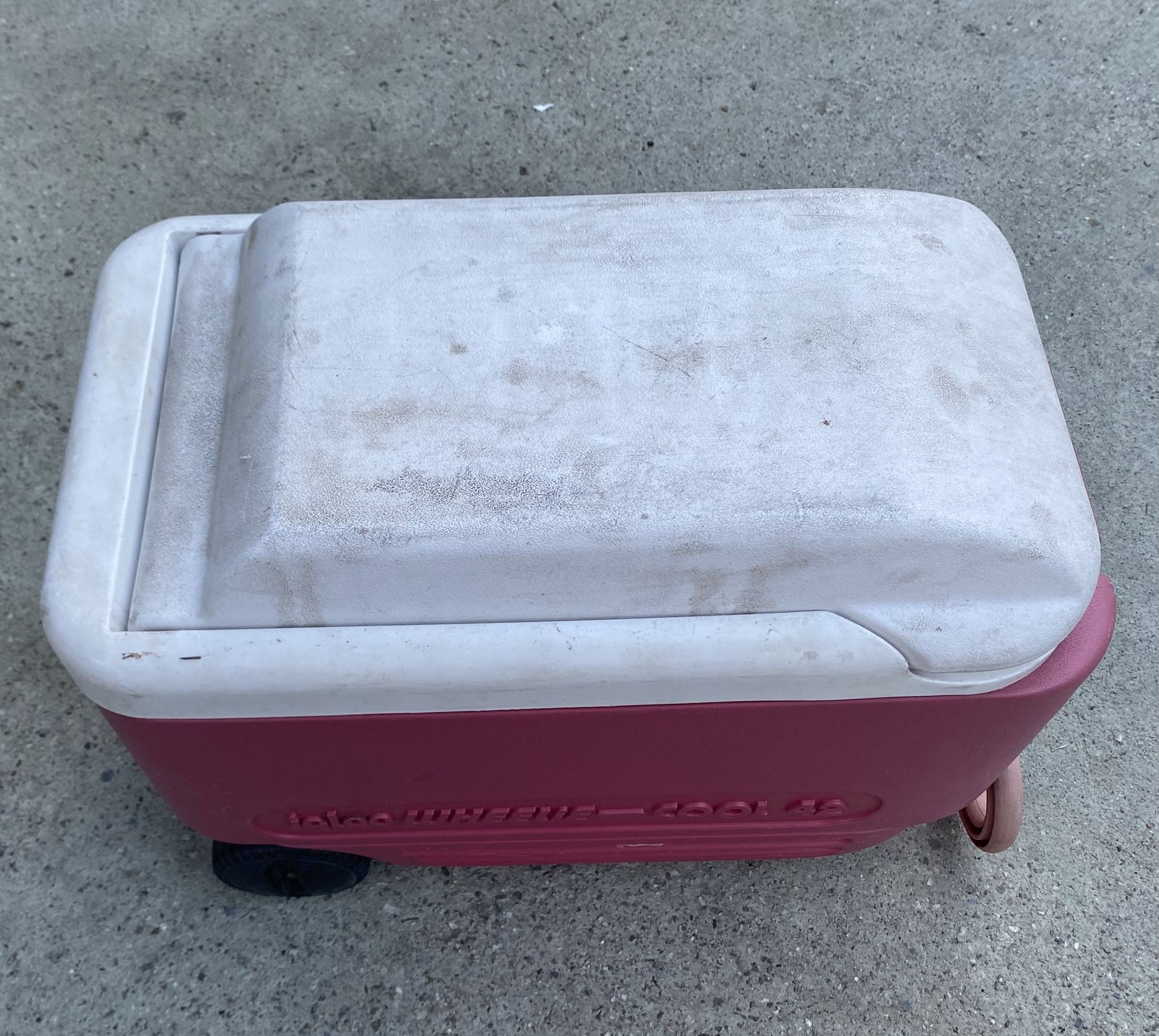 Igloo Wheelie Cooler