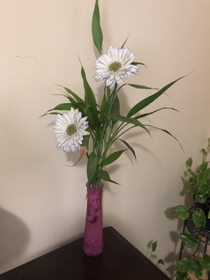 New And Used Bamboo Plant For Sale In Douglasville Ga Offerup